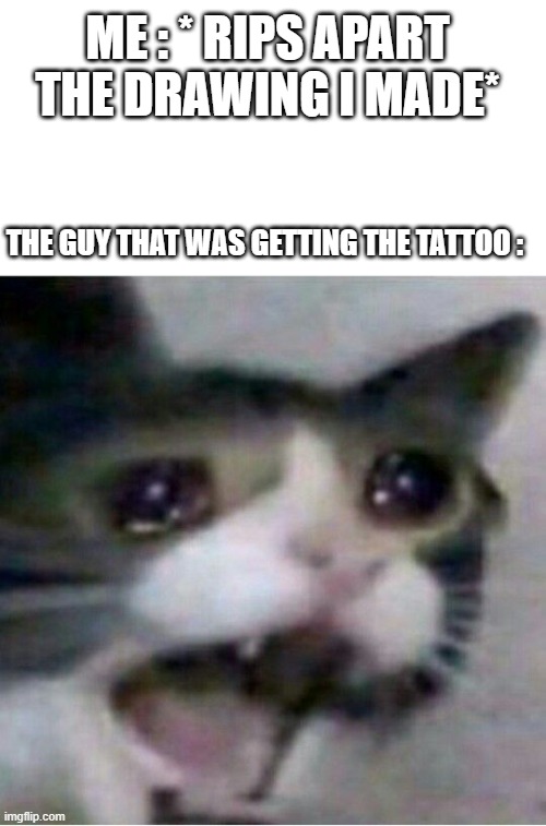 crying cat | ME : * RIPS APART THE DRAWING I MADE*; THE GUY THAT WAS GETTING THE TATTOO : | image tagged in crying cat | made w/ Imgflip meme maker