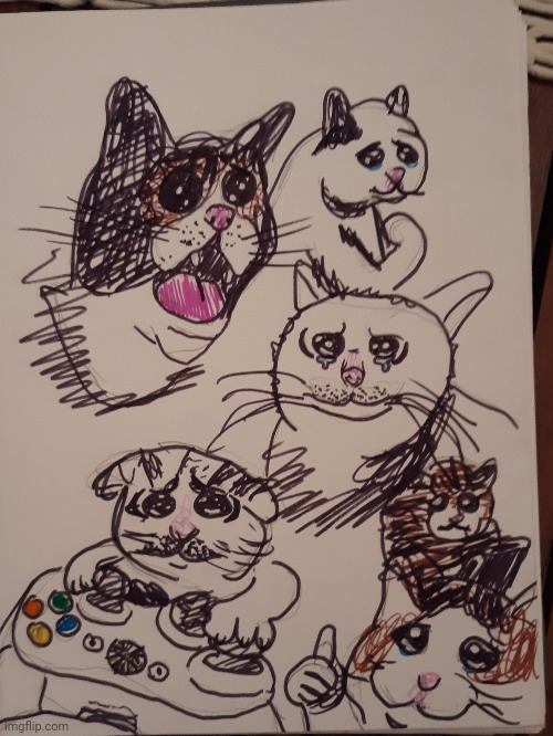 My drawing for sadness...crying cat memes | image tagged in drawing,crying cats | made w/ Imgflip meme maker