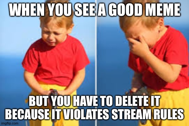 Had to do it kid | WHEN YOU SEE A GOOD MEME; BUT YOU HAVE TO DELETE IT BECAUSE IT VIOLATES STREAM RULES | image tagged in had to do it kid | made w/ Imgflip meme maker