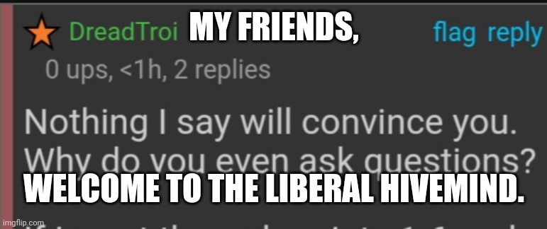Why do we ask questions? Anyone? | MY FRIENDS, WELCOME TO THE LIBERAL HIVEMIND. | image tagged in questions,liberals,hmm | made w/ Imgflip meme maker
