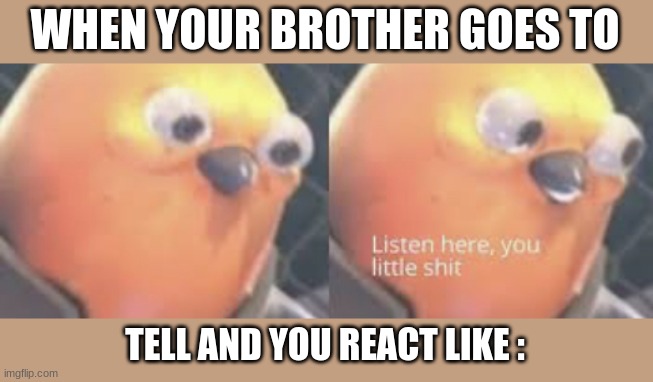 Listen here you little shit bird | WHEN YOUR BROTHER GOES TO; TELL AND YOU REACT LIKE : | image tagged in listen here you little shit bird | made w/ Imgflip meme maker