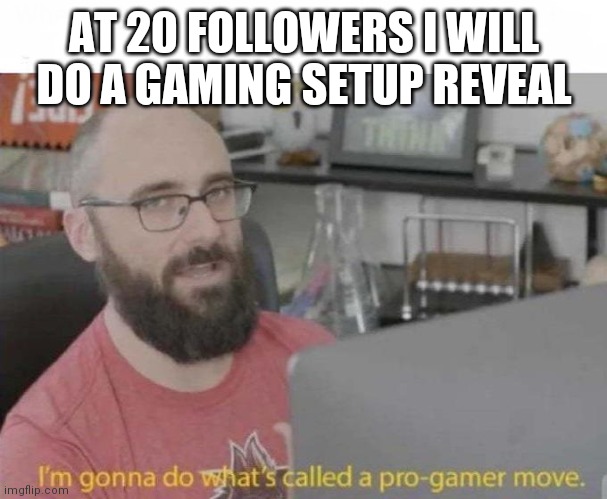 Pro Gamer move | AT 20 FOLLOWERS I WILL DO A GAMING SETUP REVEAL | image tagged in pro gamer move | made w/ Imgflip meme maker