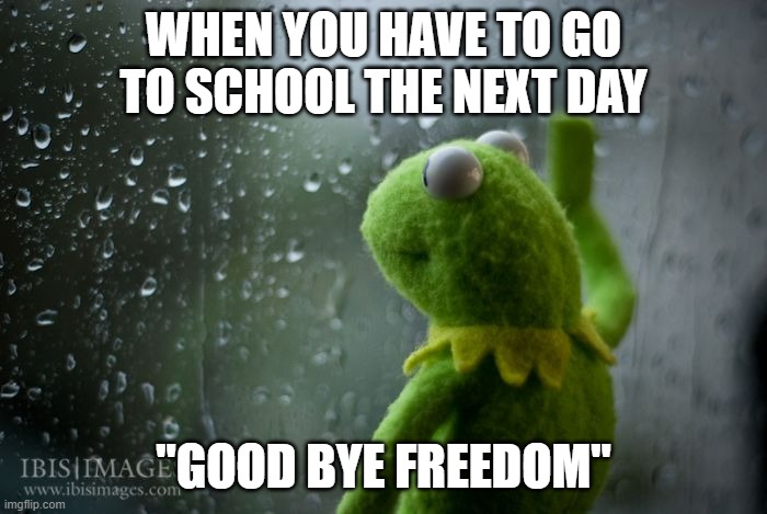 good bye freedom | WHEN YOU HAVE TO GO TO SCHOOL THE NEXT DAY; "GOOD BYE FREEDOM" | image tagged in kermit window | made w/ Imgflip meme maker