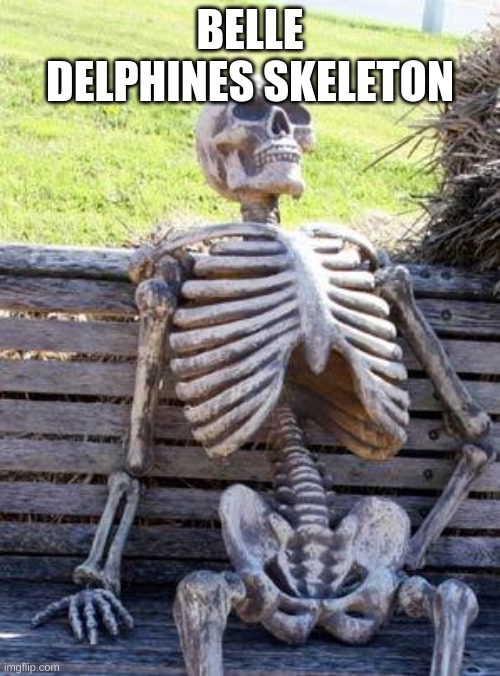 Waiting Skeleton | BELLE DELPHINES SKELETON | image tagged in memes,waiting skeleton | made w/ Imgflip meme maker