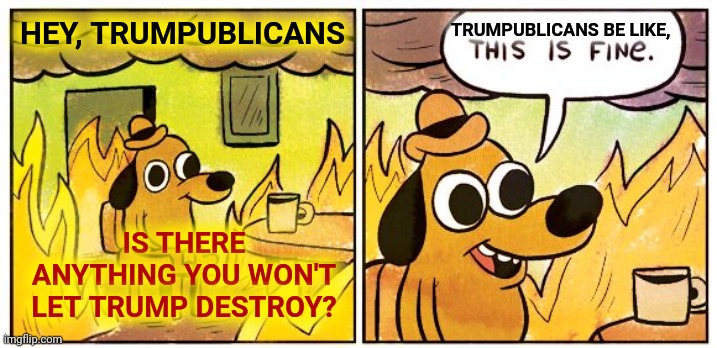 Burning Down The House | HEY, TRUMPUBLICANS; TRUMPUBLICANS BE LIKE, IS THERE ANYTHING YOU WON'T LET TRUMP DESTROY? | image tagged in memes,this is fine,trumpublicans,trump unfit unqualified dangerous,liar in chief,lock him up | made w/ Imgflip meme maker