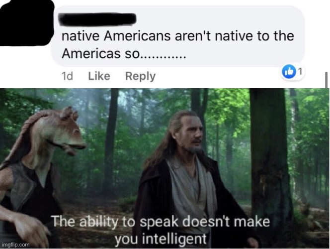 Bruh moment | image tagged in star wars prequel qui-gon ability to speak | made w/ Imgflip meme maker