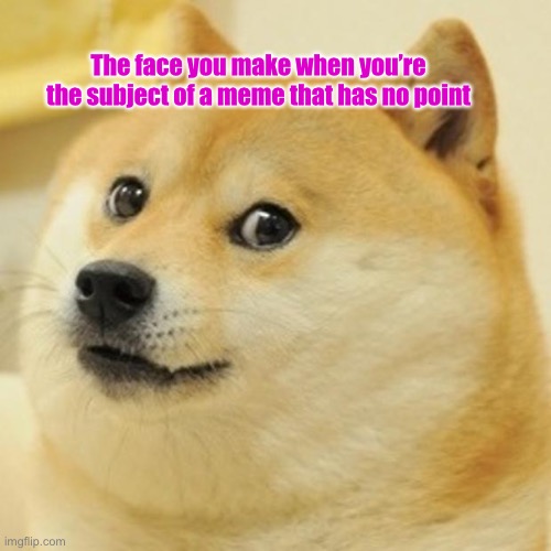 As Literal as can be | The face you make when you’re the subject of a meme that has no point | image tagged in memes,doge | made w/ Imgflip meme maker