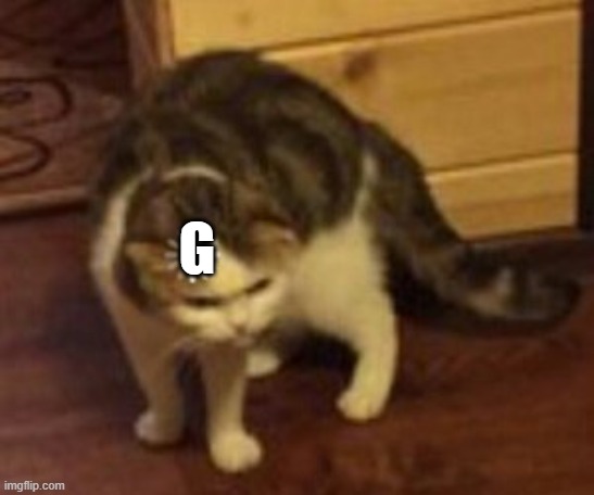 G | image tagged in loading cat | made w/ Imgflip meme maker