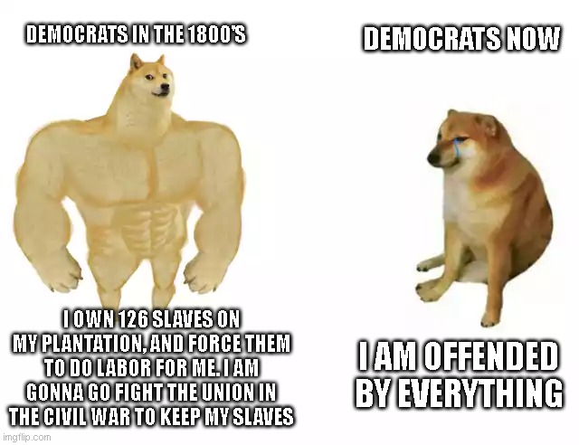 yes | DEMOCRATS NOW; DEMOCRATS IN THE 1800'S; I OWN 126 SLAVES ON MY PLANTATION, AND FORCE THEM TO DO LABOR FOR ME. I AM GONNA GO FIGHT THE UNION IN THE CIVIL WAR TO KEEP MY SLAVES; I AM OFFENDED BY EVERYTHING | image tagged in buff doge vs cheems,crying democrats,stupid liberals | made w/ Imgflip meme maker