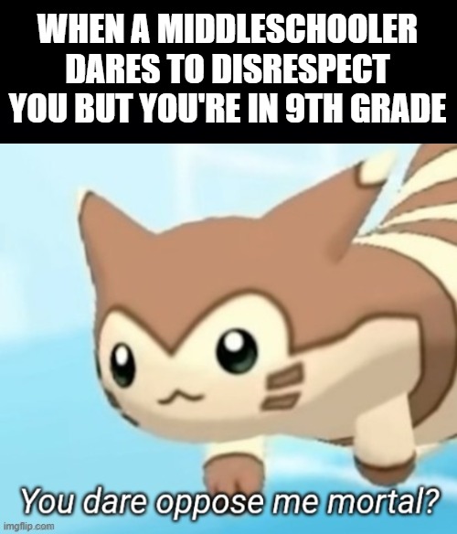 Foolish child | WHEN A MIDDLESCHOOLER DARES TO DISRESPECT YOU BUT YOU'RE IN 9TH GRADE | image tagged in black background,furret you dare oppose me mortal,memes,furret,middleschool | made w/ Imgflip meme maker