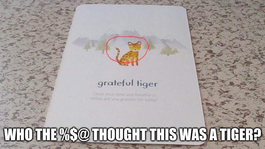 I would love to point out that the cat was a LEOPARD, not a TIGER. | WHO THE %$@ THOUGHT THIS WAS A TIGER? | image tagged in aaaaaaa | made w/ Imgflip meme maker