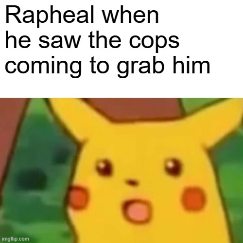 Trash book meme | Rapheal when he saw the cops coming to grab him | image tagged in memes,surprised pikachu | made w/ Imgflip meme maker