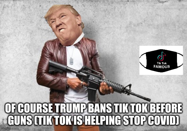 OF COURSE TRUMP BANS TIK TOK BEFORE GUNS (TIK TOK IS HELPING STOP COVID) | image tagged in donald trump,trump,gun,funny memes | made w/ Imgflip meme maker