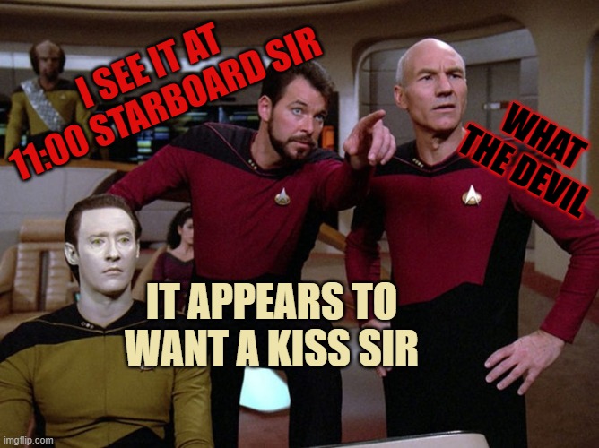 Its The Gremlor | I SEE IT AT 11:00 STARBOARD SIR; WHAT THE DEVIL; IT APPEARS TO WANT A KISS SIR | image tagged in givesa st,star trekta | made w/ Imgflip meme maker