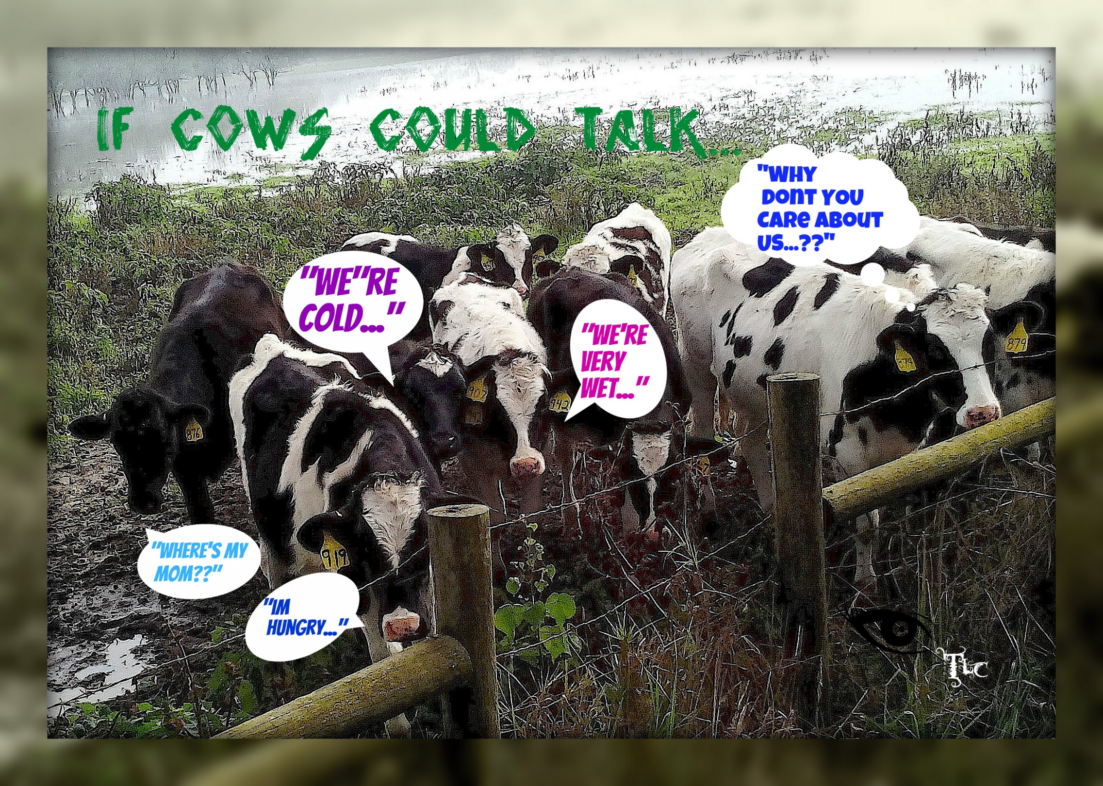 If cows could talk Blank Meme Template