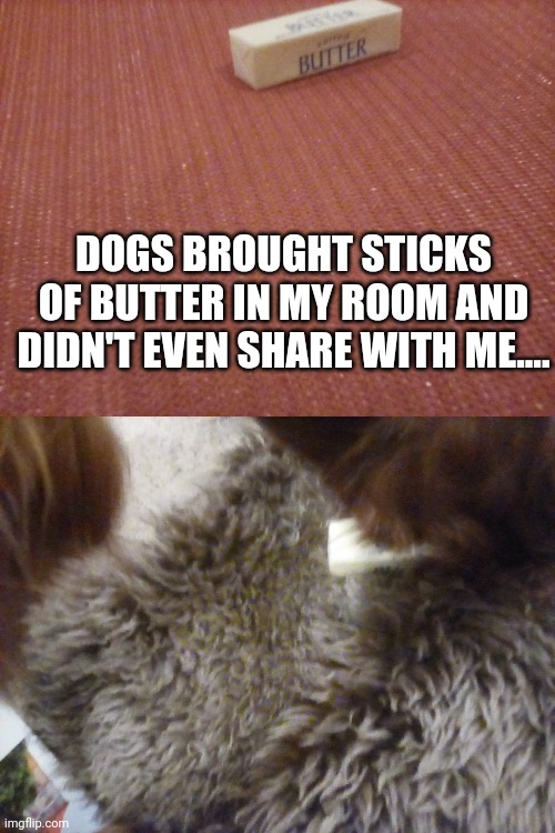 Boi my heart. | DOGS BROUGHT STICKS OF BUTTER IN MY ROOM AND DIDN'T EVEN SHARE WITH ME.... | made w/ Imgflip meme maker