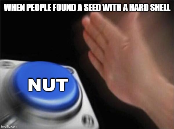 Blank Nut Button | WHEN PEOPLE FOUND A SEED WITH A HARD SHELL; NUT | image tagged in memes,blank nut button | made w/ Imgflip meme maker