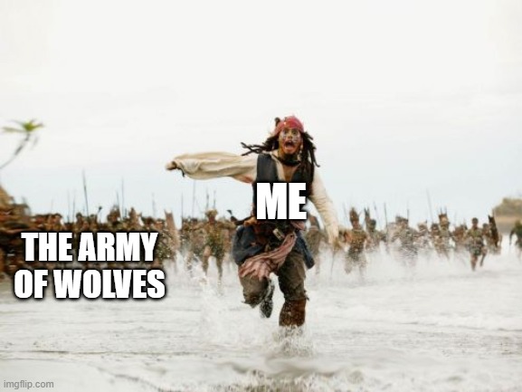 My first meme | ME; THE ARMY OF WOLVES | image tagged in memes,jack sparrow being chased | made w/ Imgflip meme maker