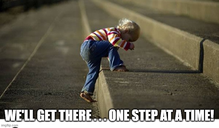 Perseverance in children | WE'LL GET THERE . . . ONE STEP AT A TIME! | image tagged in perseverance in children | made w/ Imgflip meme maker