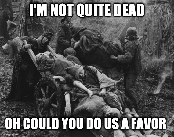 Monty Python bring out your dead | I'M NOT QUITE DEAD; OH COULD YOU DO US A FAVOR | image tagged in monty python bring out your dead | made w/ Imgflip meme maker