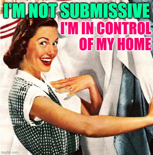 Sassy Housewife Control | I'M NOT SUBMISSIVE; I'M IN CONTROL
OF MY HOME | image tagged in vintage laundry woman,housewife,funny memes,sassy,strong women,so true | made w/ Imgflip meme maker