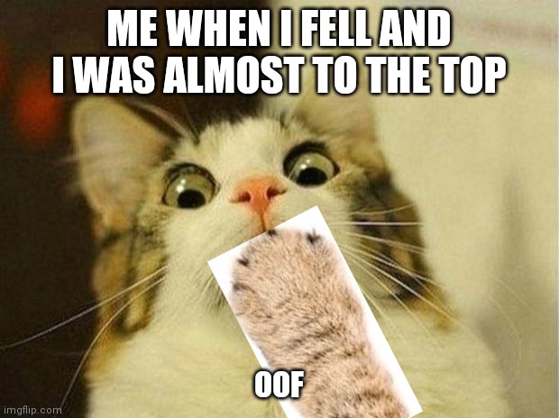 roblox | ME WHEN I FELL AND I WAS ALMOST TO THE TOP; OOF | image tagged in memes,scared cat,roblox meme,unofficial | made w/ Imgflip meme maker