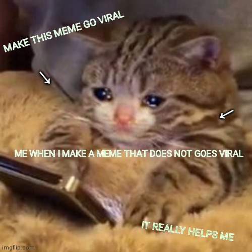 makve this meme go viral ;( | MAKE THIS MEME GO VIRAL; ↙; ↙; ME WHEN I MAKE A MEME THAT DOES NOT GOES VIRAL; IT REALLY HELPS ME | image tagged in crying cat on phone | made w/ Imgflip meme maker