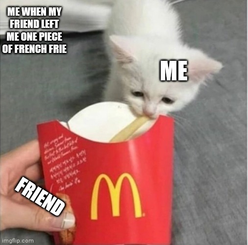 french frie cat | ME WHEN MY FRIEND LEFT ME ONE PIECE OF FRENCH FRIE; ME; FRIEND | image tagged in french fried tears | made w/ Imgflip meme maker