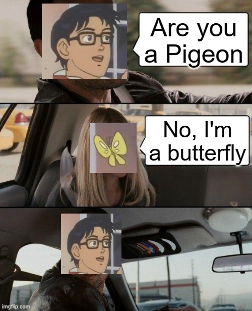 Crossover | Are you a Pigeon; No, I'm a butterfly | image tagged in memes,funny,the rock driving,is this a pigeon | made w/ Imgflip meme maker