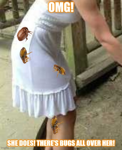 OMG! SHE DOES! THERE'S BUGS ALL OVER HER! | made w/ Imgflip meme maker
