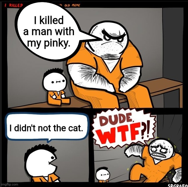 Srgrafo dude wtf | I killed a man with my pinky. I didn't not the cat. | image tagged in srgrafo dude wtf | made w/ Imgflip meme maker