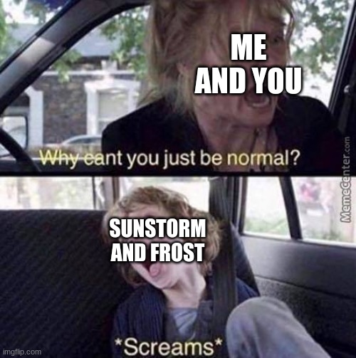 Why Can't You Just Be Normal | ME AND YOU SUNSTORM AND FROST | image tagged in why can't you just be normal | made w/ Imgflip meme maker