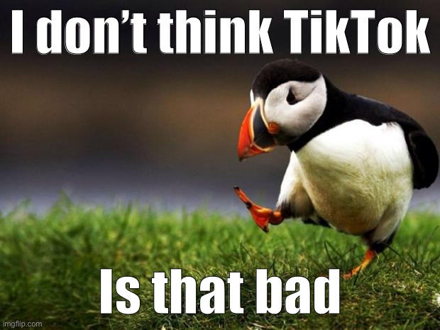 Tl;dr — I don’t. Feel free to shower me with your hate. | I don’t think TikTok; Is that bad | image tagged in memes,unpopular opinion puffin,tik tok,tiktok,social media,unpopular opinion | made w/ Imgflip meme maker