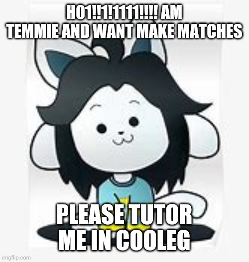 Temmie | H01!!1!1111!!!! AM TEMMIE AND WANT MAKE MATCHES; PLEASE TUTOR ME IN COOLEG | image tagged in temmie | made w/ Imgflip meme maker