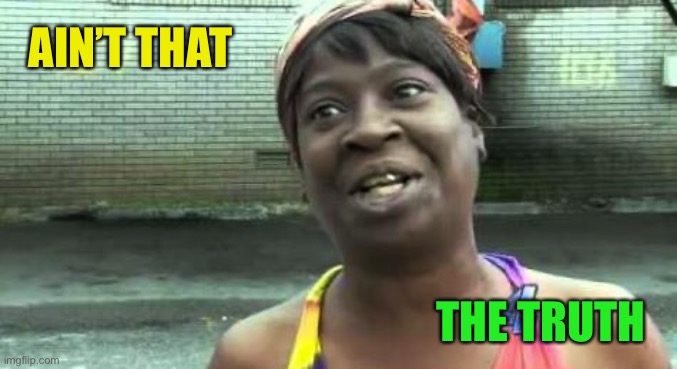 Sweet Brown | AIN’T THAT THE TRUTH | image tagged in sweet brown | made w/ Imgflip meme maker