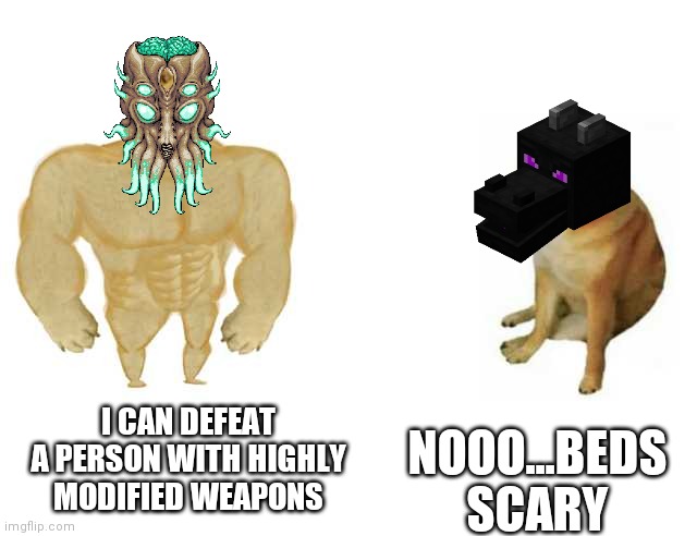 Moon Lord vs Ender Dragon | I CAN DEFEAT A PERSON WITH HIGHLY MODIFIED WEAPONS; NOOO...BEDS SCARY | image tagged in strong doge weak doge | made w/ Imgflip meme maker