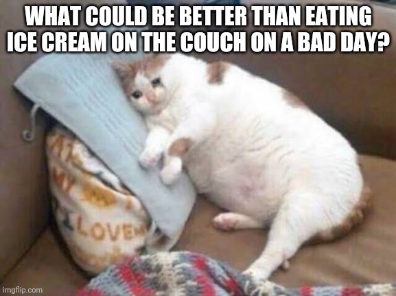 Sad fat cat | WHAT COULD BE BETTER THAN EATING ICE CREAM ON THE COUCH ON A BAD DAY? | image tagged in sad fat cat | made w/ Imgflip meme maker