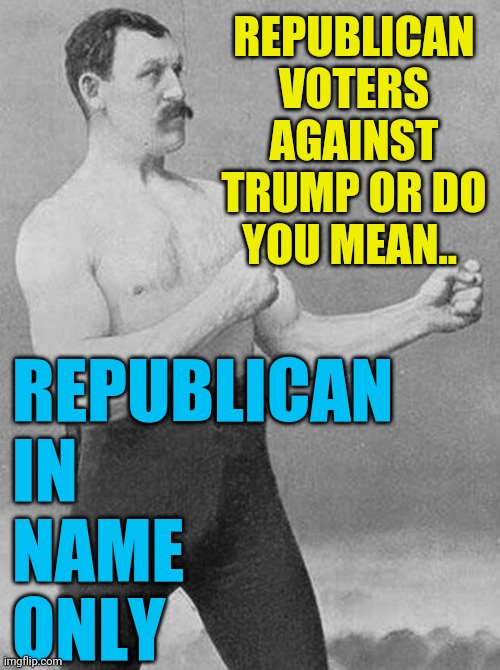 boxer | REPUBLICAN VOTERS AGAINST TRUMP OR DO YOU MEAN.. REPUBLICAN 
IN 
NAME 
ONLY | image tagged in boxer | made w/ Imgflip meme maker