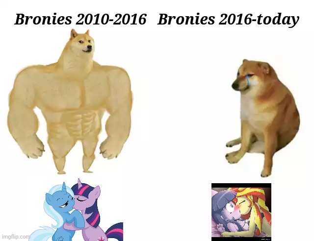 Tru af |  Bronies 2016-today; Bronies 2010-2016 | image tagged in buff doge vs cheems,memes,brony,my little pony,funny,fandom | made w/ Imgflip meme maker