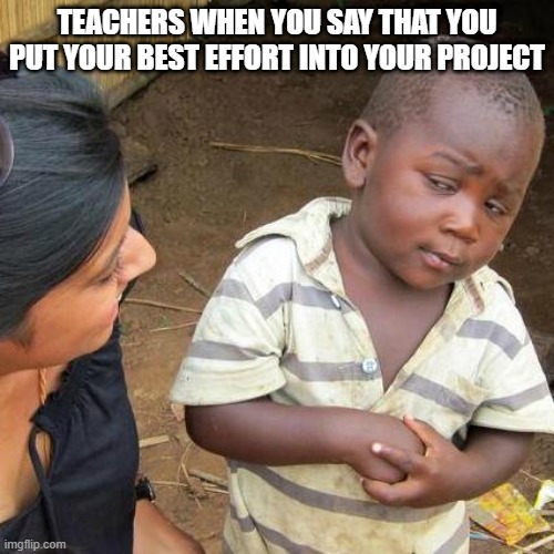 Third World Skeptical Kid Meme |  TEACHERS WHEN YOU SAY THAT YOU PUT YOUR BEST EFFORT INTO YOUR PROJECT | image tagged in memes,third world skeptical kid | made w/ Imgflip meme maker