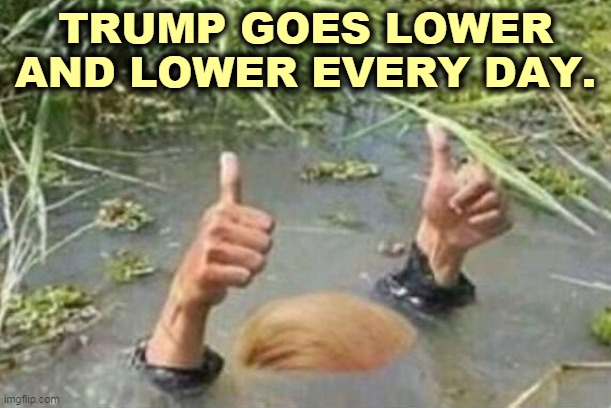 Racist, sexist, weaponizing the DOJ, QAnon, quack medicines, destroying the Post Office to stop voting. This is a desperate man. | TRUMP GOES LOWER AND LOWER EVERY DAY. | image tagged in trump drains the swamp by drinking it,trump,racist,sexist,crazy,desperate | made w/ Imgflip meme maker