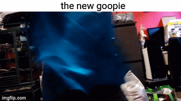 Gopia Meme the brand new goopie - Imgflip