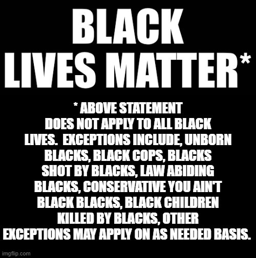 Black Lives Matter*    * EXCEPT | image tagged in stupid liberals,democrats | made w/ Imgflip meme maker