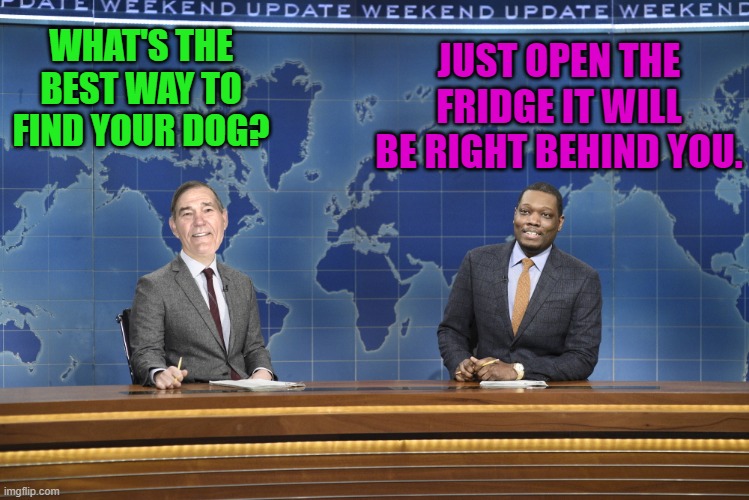 how to find your dog | JUST OPEN THE FRIDGE IT WILL BE RIGHT BEHIND YOU. WHAT'S THE BEST WAY TO FIND YOUR DOG? | image tagged in weekend update,kewlew | made w/ Imgflip meme maker