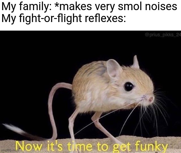 Flight! fLiGhT! FLIGHT!!! RUNNNNNN | My family: *makes very smol noises
My fight-or-flight reflexes: | image tagged in now its time to get funky | made w/ Imgflip meme maker