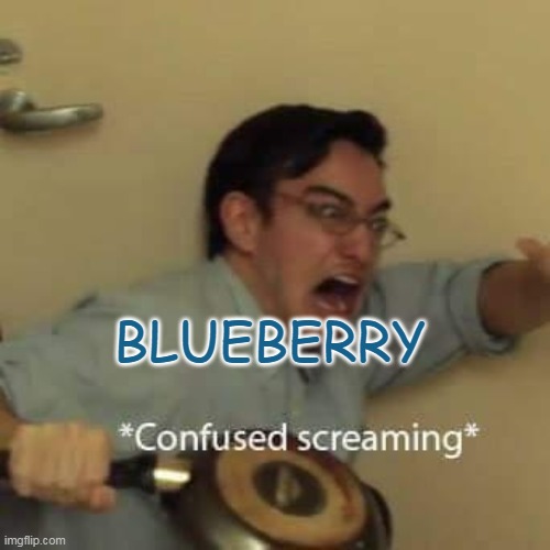 filthy frank confused scream | BLUEBERRY | image tagged in filthy frank confused scream | made w/ Imgflip meme maker