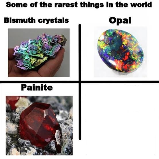 Some of the rarest things in the world Blank Meme Template