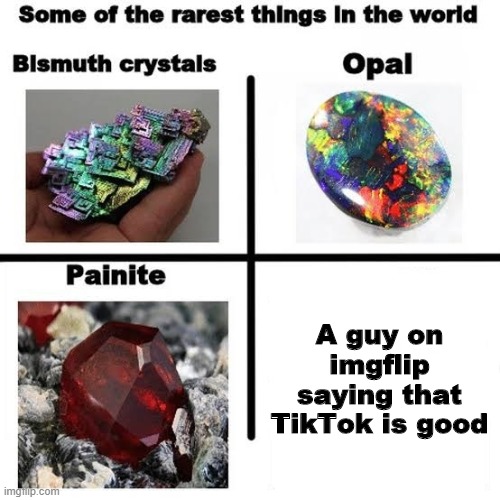 Some of the rarest things in the world | A guy on imgflip saying that TikTok is good | image tagged in some of the rarest things in the world | made w/ Imgflip meme maker