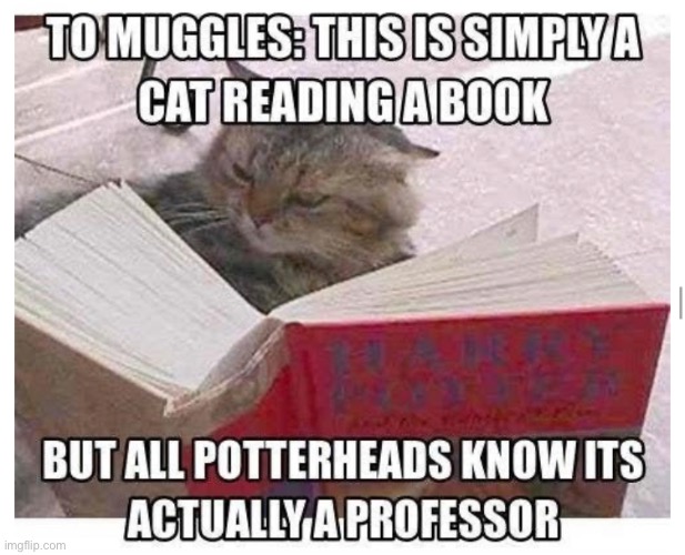 McGonagall | made w/ Imgflip meme maker