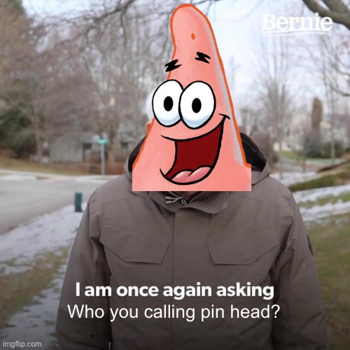 Bernie I Am Once Again Asking For Your Support | Who you calling pin head? | image tagged in memes,bernie i am once again asking for your support,spongebob,patrick star | made w/ Imgflip meme maker